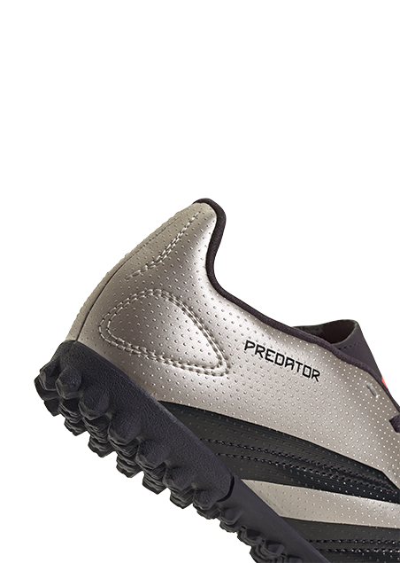 IF6420 - נעלי נמרוד