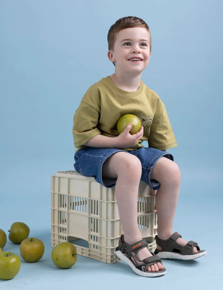  - נעלי נמרוד