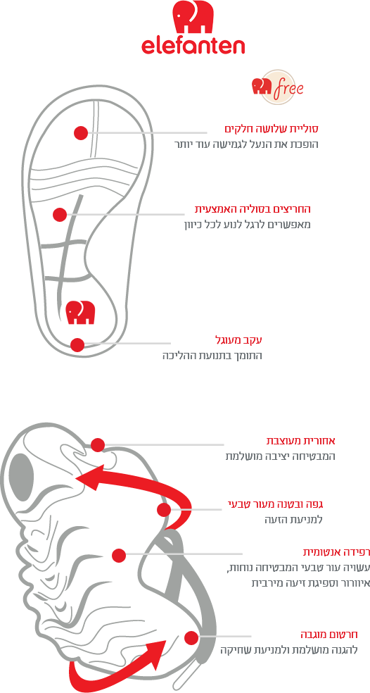 סוליית שלושה חלקים - הופכת את הנעל לגמישה עוד יותר. החריצים בסוליה האמצעית - מאפשרים לרגל לנוע לכל כיוון. עקב מעוגל - התומך בתנועת ההליכה. אחורית מעוצבת – המבטיחה יציבה מושלמת. גפה ובטנה מעור טבעי – למניעת הזעה. רפידה אנטומית – עשויה עור טבעי המבטיחה נוחות, איוורור וספיגת זיעה מירבית. חרטום מוגבה – להגנה מושלמת ולמניעת שחיקה. 